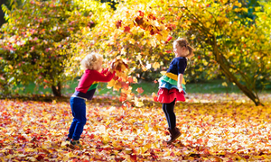 Zwei Kinder spielen im herbstlichen Laub